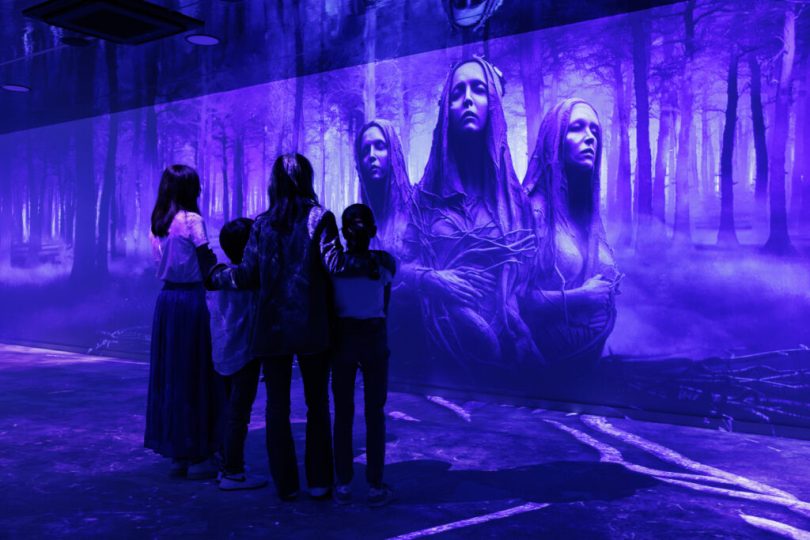 Explorer le Monde des Vikings à travers une Cité Immersive