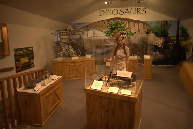 Guide et astuces pour Dino Country (Terre des Dinos)