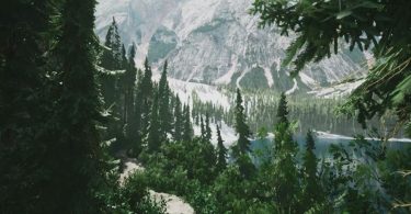 L'expérience photographique immersive Lushfoil Photography Sim arrive bientôt sur PC VR