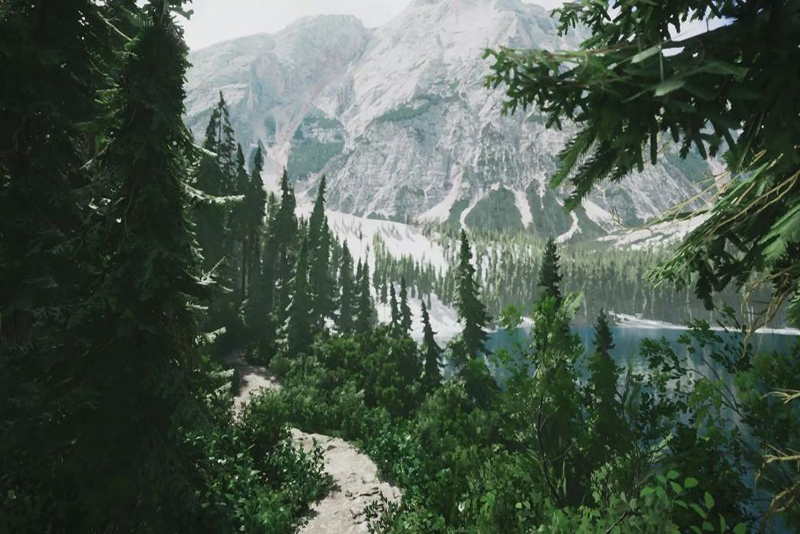 L'expérience photographique immersive Lushfoil Photography Sim arrive bientôt sur PC VR